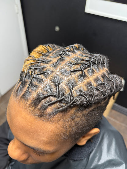 Classic Wash and ReTwist - PLEASE READ!!!!!!!