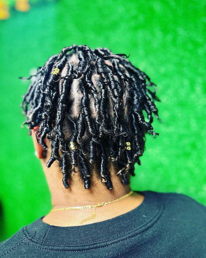 Starter Locs - Loctician will reach out to discuss further details. PLEASE READ!!!!!!!